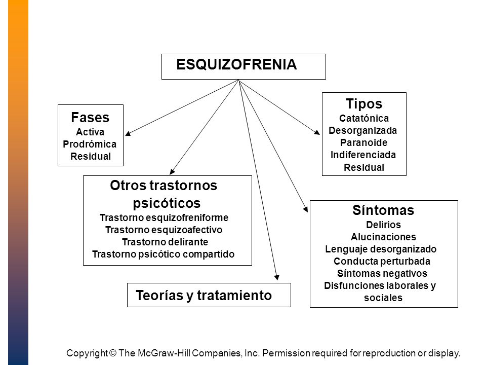 Caracteristicas del trastorno esquizofrenia